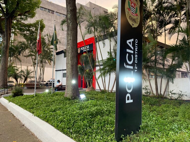 12º DP no Pari
